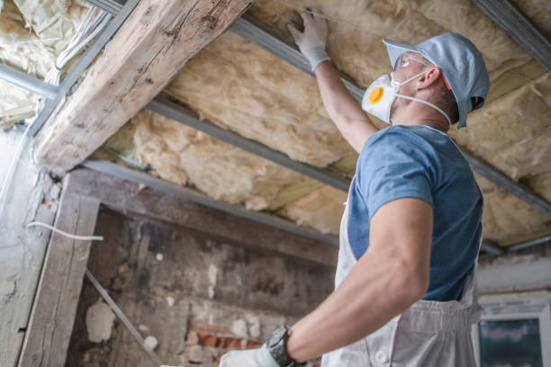 Best Cellulose Insulation in Powell, WY
